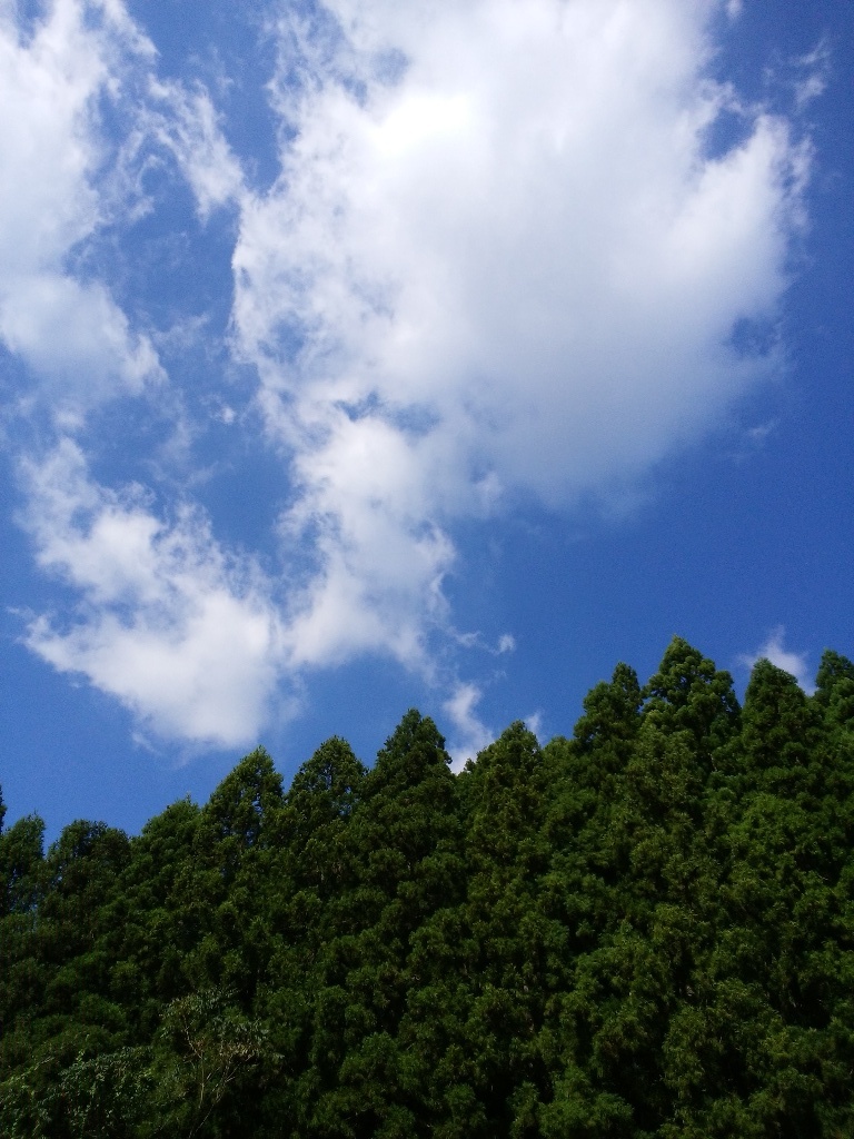 イメージ 2
