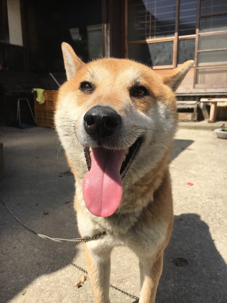 イメージ 1