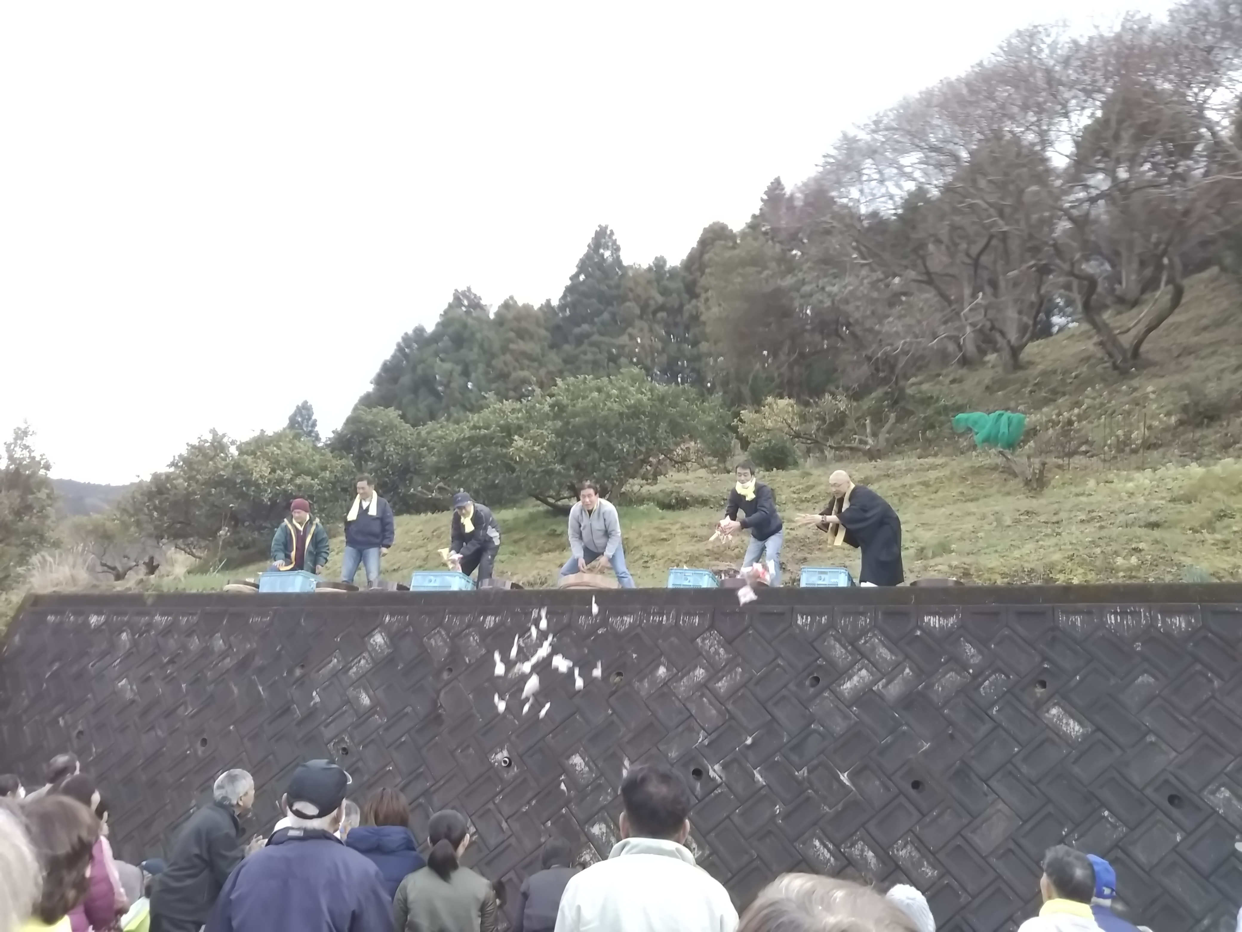 イメージ 8